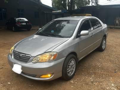 A picture of 2008 COROLLA 2008