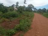 A picture of 2ACRES TITLED LAND KAYONZA PLUS A HOUSE 35M ALL
