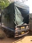 A picture of Isuzu