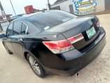 A picture of Honda Accord 2010