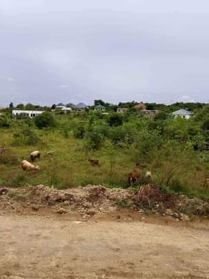 A picture of ENEO LINAUZWA MABWEPANDE SQM 800 BEI MILION 10