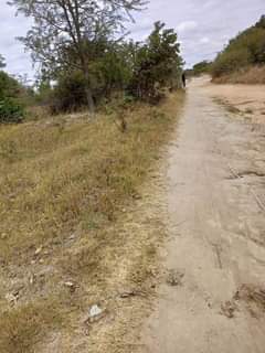 mwembeshi