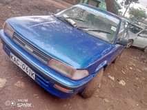 Kwevo B.