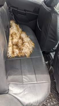 A picture of GDI PAJERO