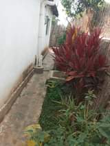 tiles