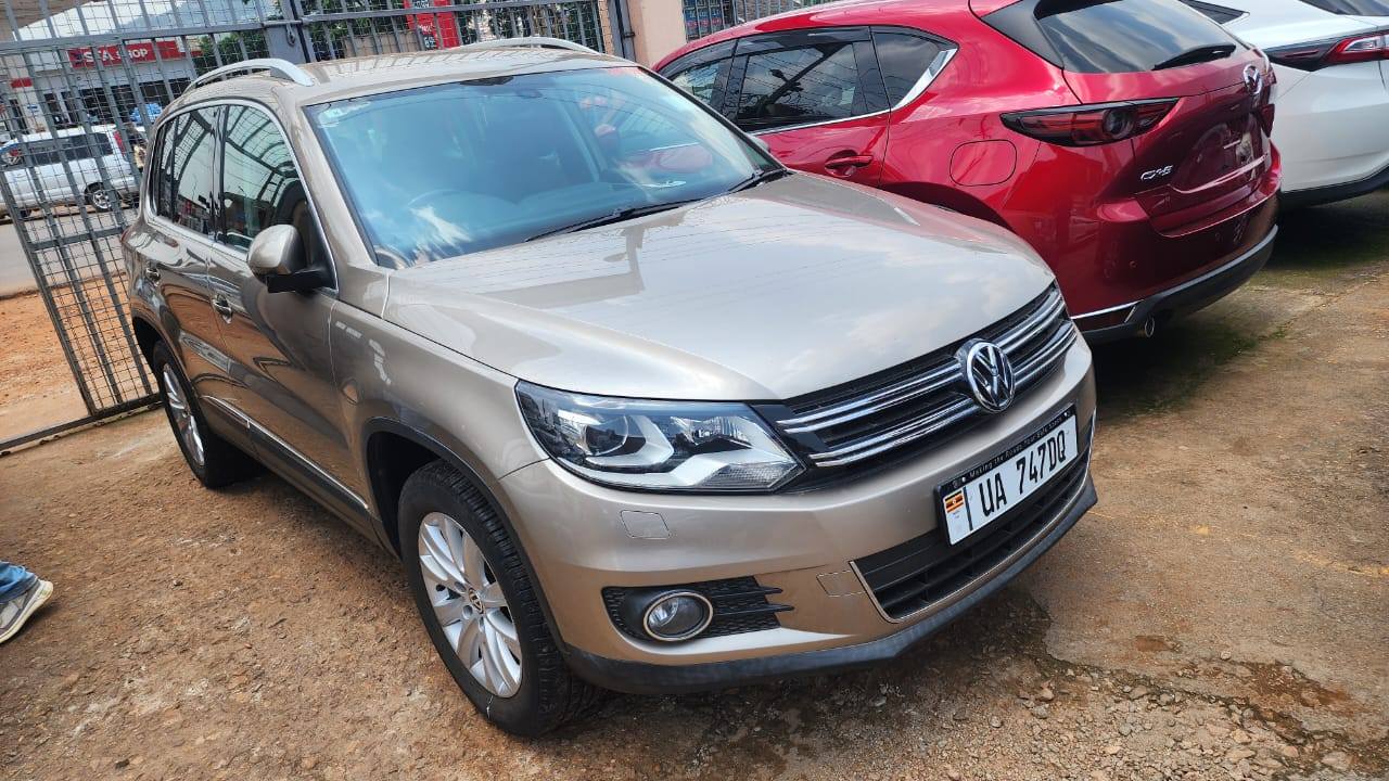 A picture of Tiguan