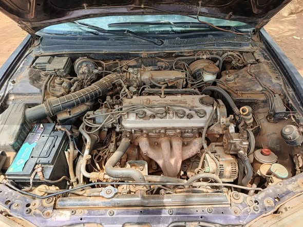 A picture of Honda accord bull dog 1997 super distres