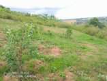A picture of Plot for sale 6 5m located at Nakawuka jjungo just