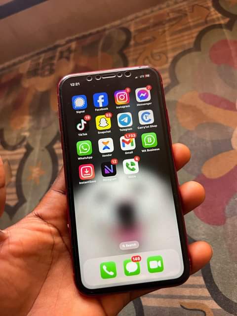 A picture of iPhone XR