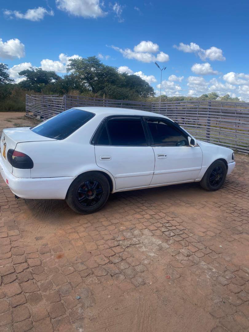 used toyota corolla
