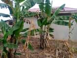 A picture of WELL FINISHED KA HOUSE FOR SALE 9 5m Located at