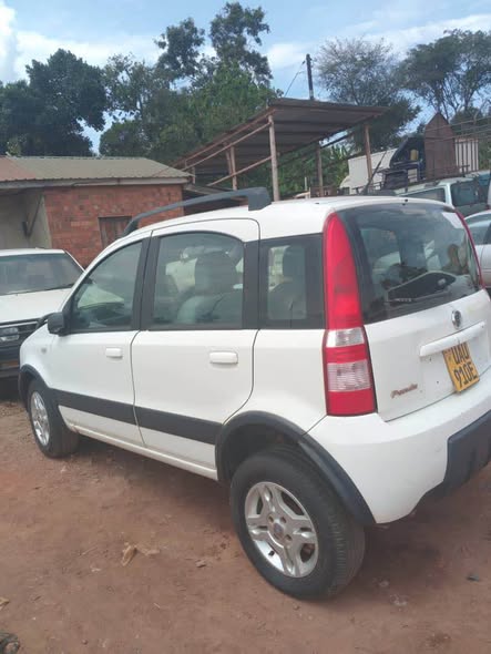 A picture of Fiat