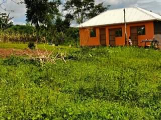 A picture of  CHEAP PLOTS .on SALE MATUGGA KIWEBWA NEAR MANZE TOWN