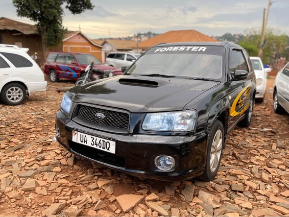 A picture of Subaru x20