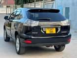 A picture of Harrier New model