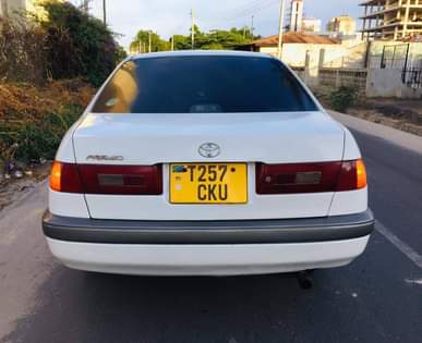 A picture of TOYOTA PRIMIO namba CKU