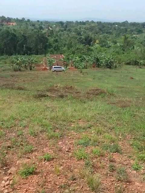 houses matugga