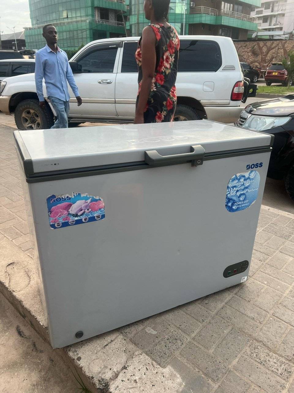 A picture of BOSS Freezer lita 250
