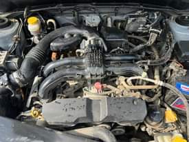 A picture of Forester DV kwa mil 18 tu