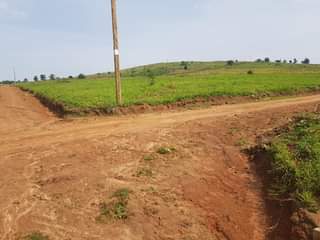 A picture of Kakiri Nsibamanyo estate on sale with titles