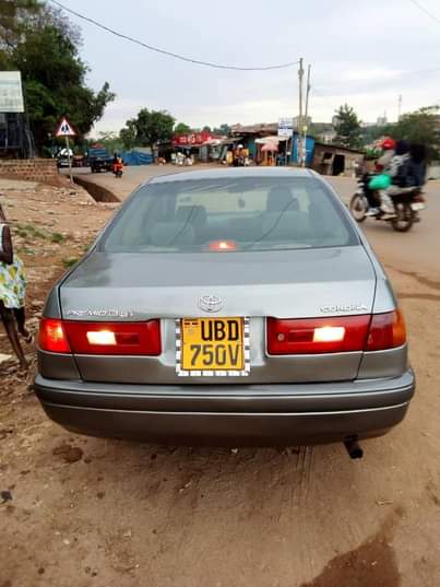 A picture of Cars for sale