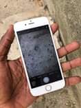 A picture of IPHONE 6 PLAIN