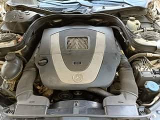 A picture of E350 fews months old The owner needs money for a