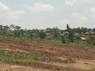 A picture of  Quick sale matugga Kigogwa migadde LC 1 Size 100by50ft