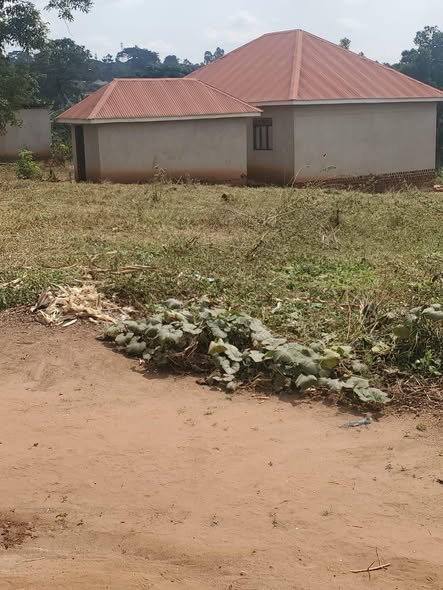 A picture of Plots of land 50by100ft for sale at kiti mayilikiti with