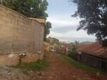 A picture of Makindye kizungu quick sale plot