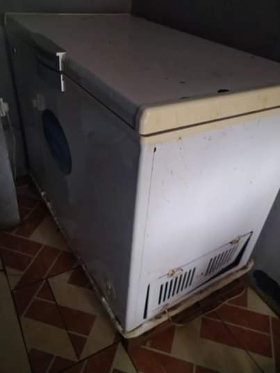 A picture of Friza
