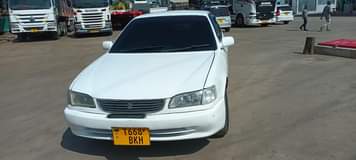 A picture of Pgcm 0656509362