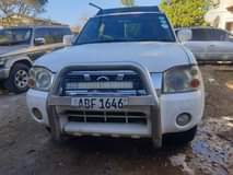 used nissan hardbody