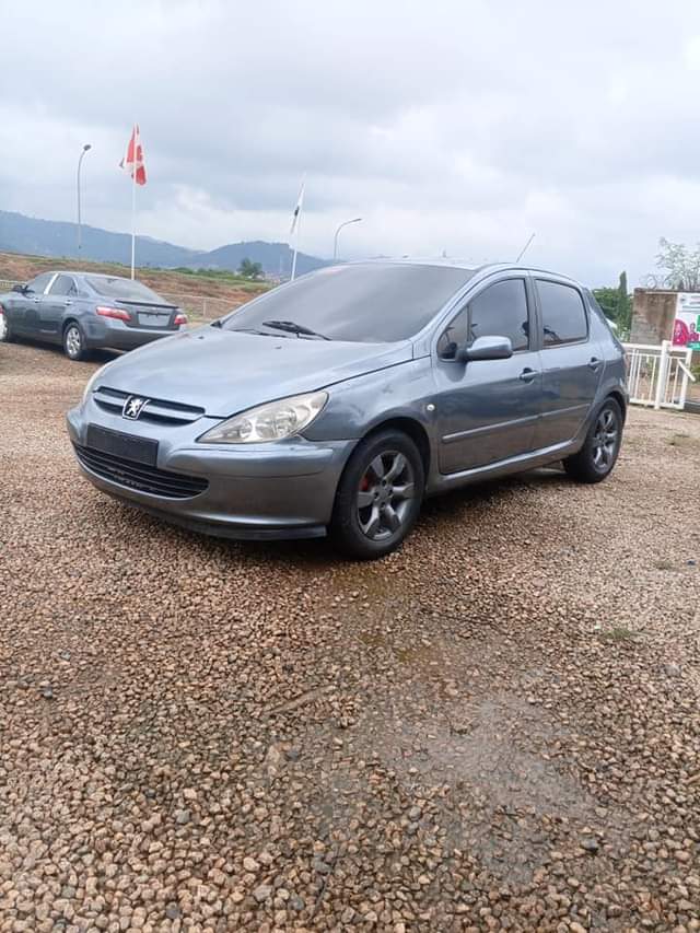 A picture of Peugoat 307
