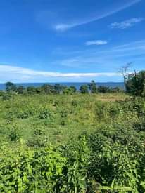A picture of Land for sell in kavumba