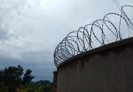 A picture of Razor wire 8metres