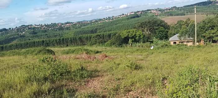 A picture of BUJUUKO TOWN