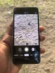 A picture of Pixel 3a