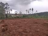 A picture of WE GOT YOU COVERED WITH OUR NEW SITE IN MATUGGA