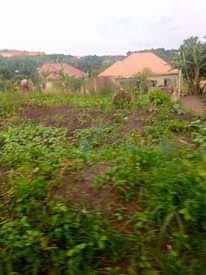 A picture of plots for sale