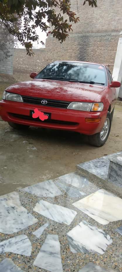 XPERT M.