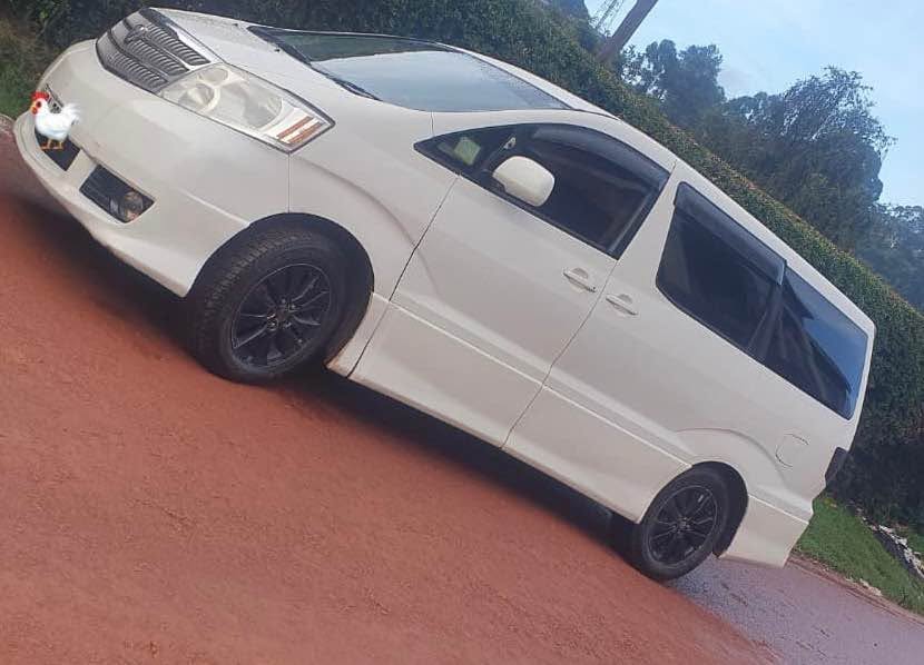 A picture of TOYOTA ALPHARD