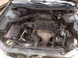 A picture of 2000 Honda Accord babyboy