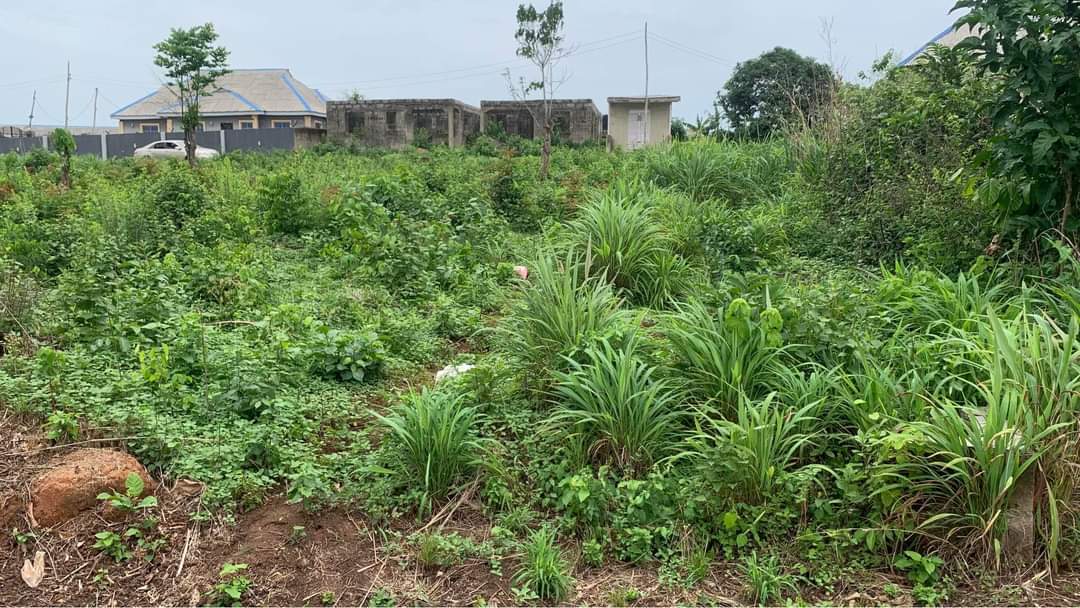 A picture of 2 Plots of land at Ifo Ibogun ogun state. Besides