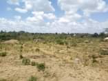 A picture of Viwanja vinauzwa chanika mvuti laki 7