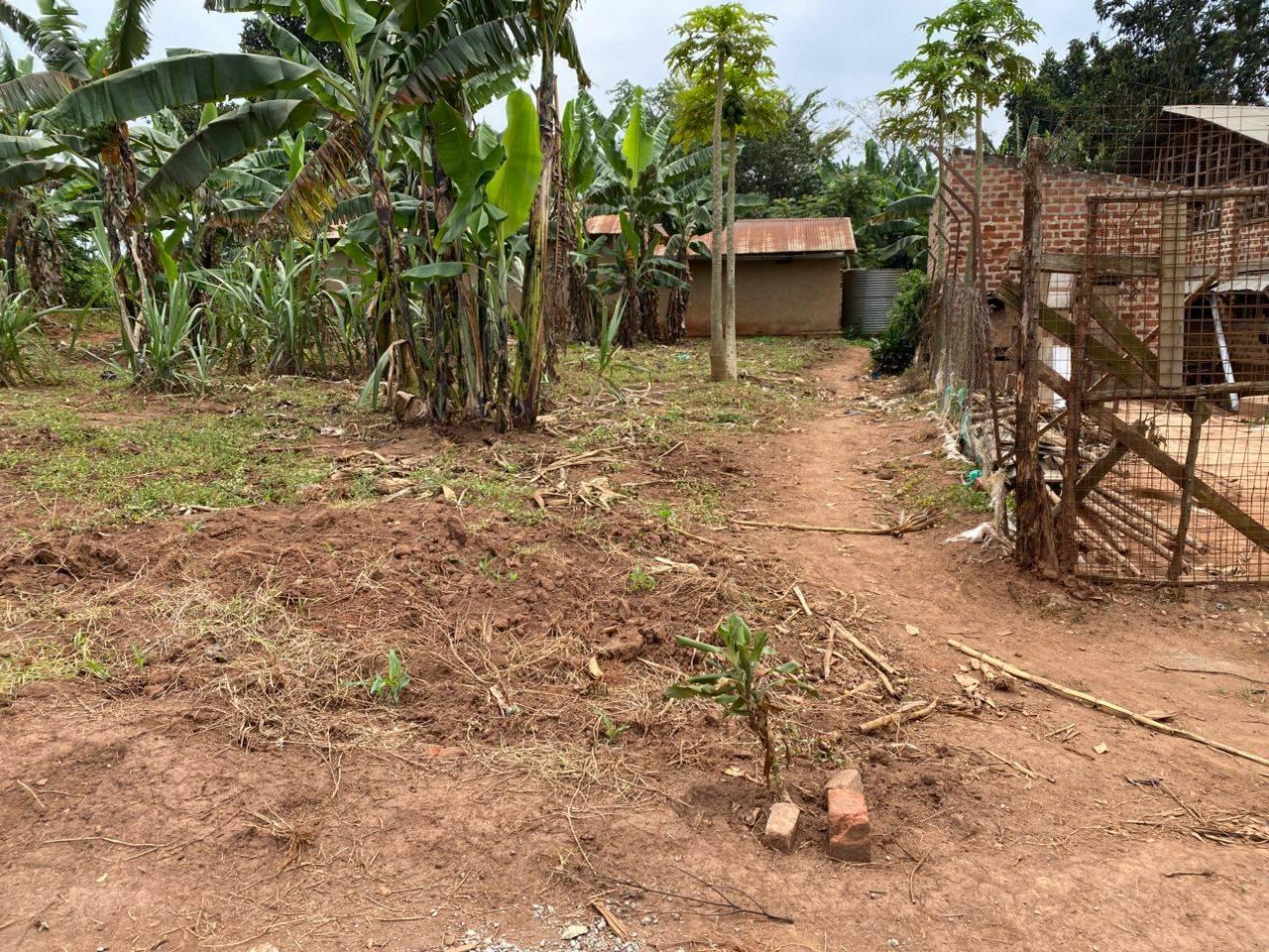 A picture of TITLE IN MATUGA KABUNZA
