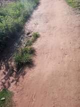 A picture of 2 fertile acres on sale both at 8m 7km from