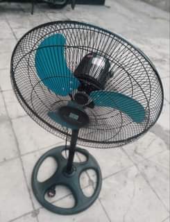 fans