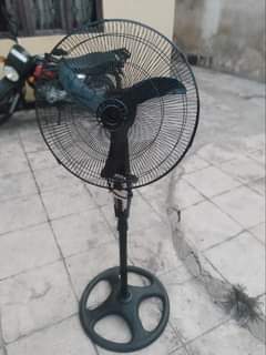 fans
