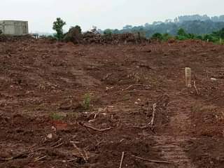 A picture of 7.5m MATUGGA KANYANDA 2km 50plots NEW ESTATES with ready land